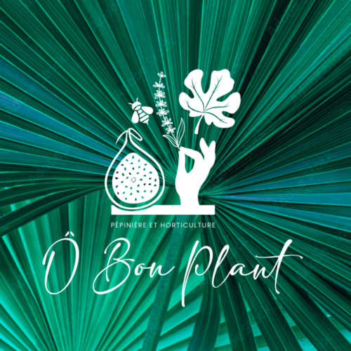 création d'un logo pour une pépinière à Solliès-Pont - Ô Bon Plant