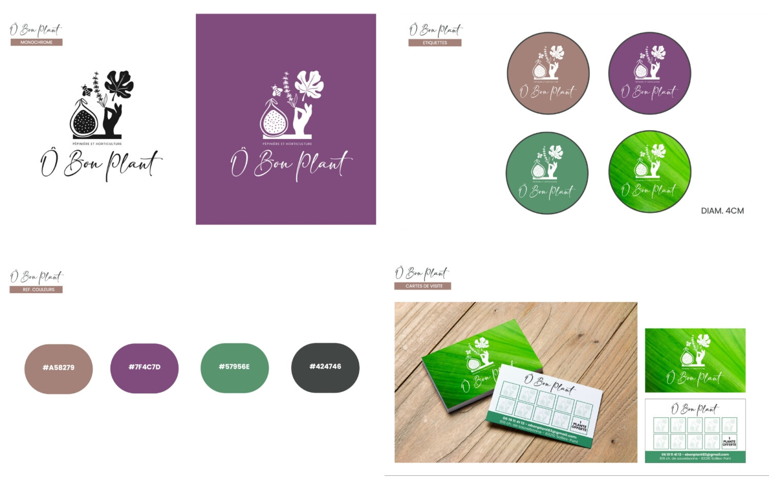 création d'un logo pour une pépinière à Solliès-Pont - Ô Bon Plant