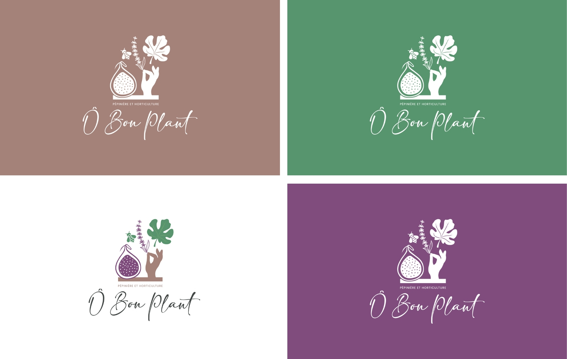 création d'un logo pour une pépinière à Solliès-Pont - Ô Bon Plant