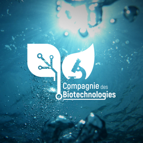 création d'un logo et de cartes de visite pour une entreprise - La Compagnie des Biotechnologies